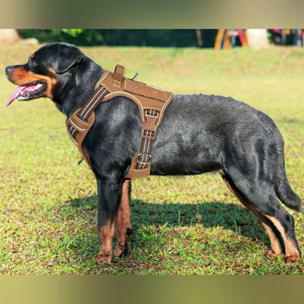 NIB Beebiepet Heavy Duty Tactical Dog Harness Best Friend ID Tag
